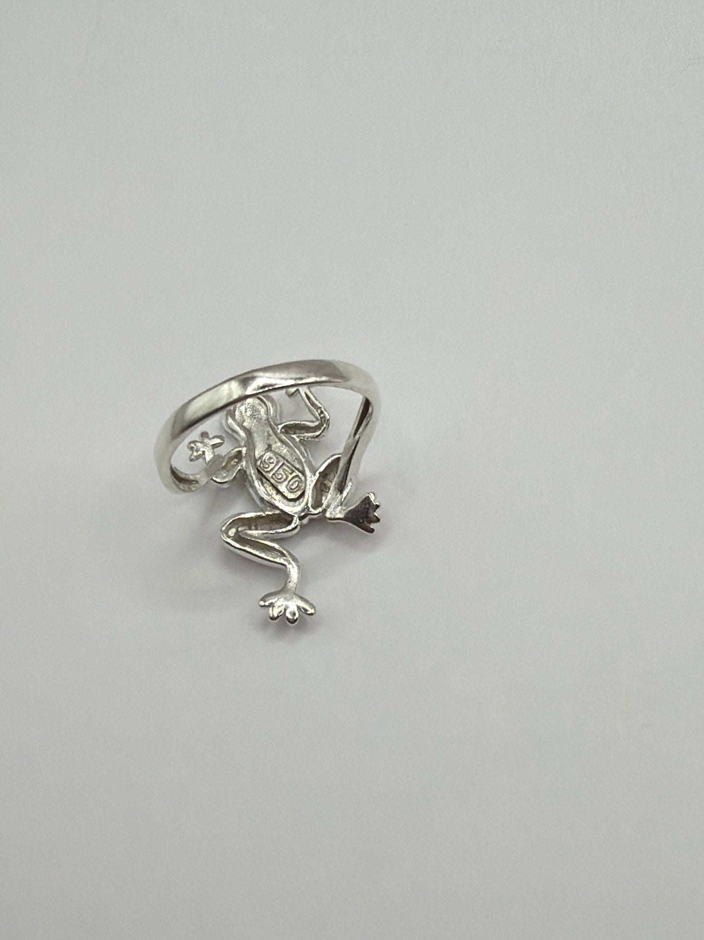 Anillo rana visto desde arriba mostrando la cabeza redondeada y cuerpo tridimensional