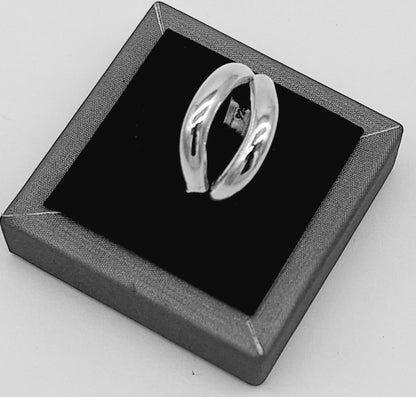 Anillo Plata Ley 925, vista frontal
