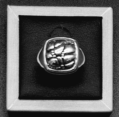 Anillo Plata Ley 925, vista frontal