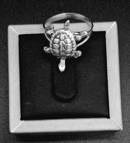 Anillo Plata Ley 925, vista frontal