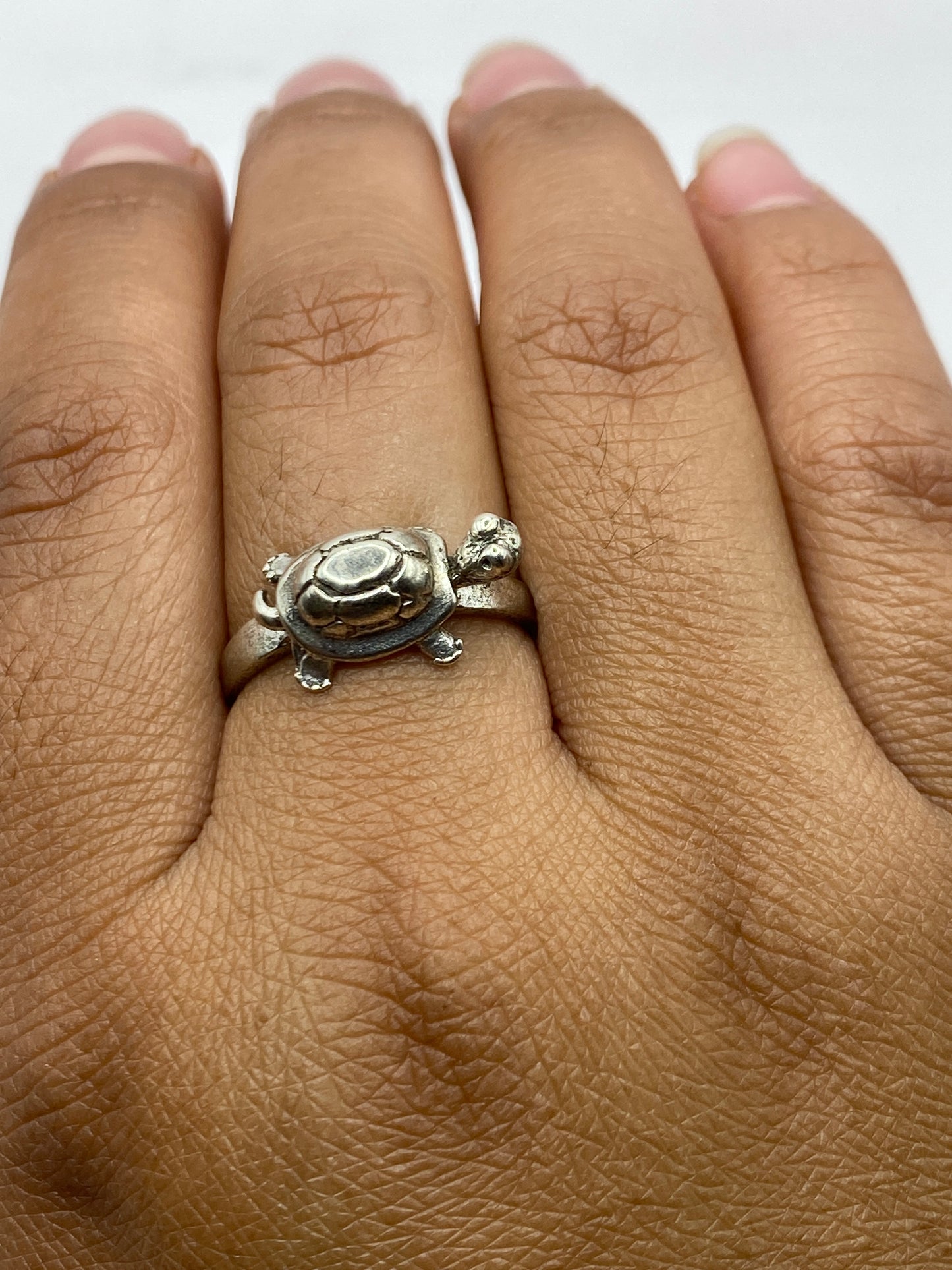 Detalle frontal de la tortuga artesanal en plata, con patas y cabeza definidas