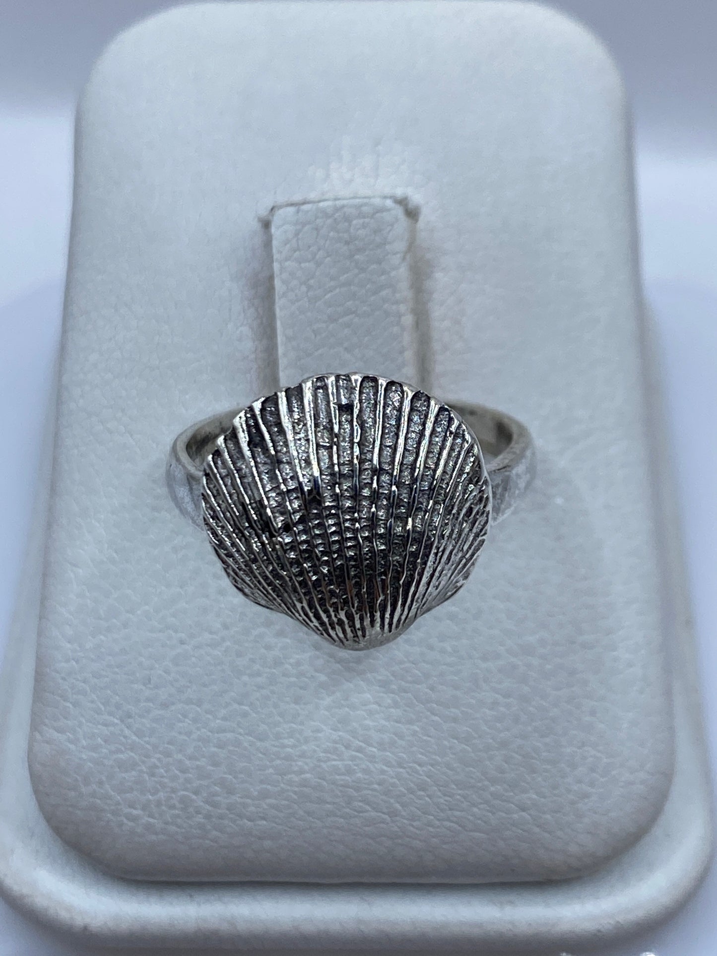 Anillo de plata con diseño de concha marina en relieve, vista frontal
