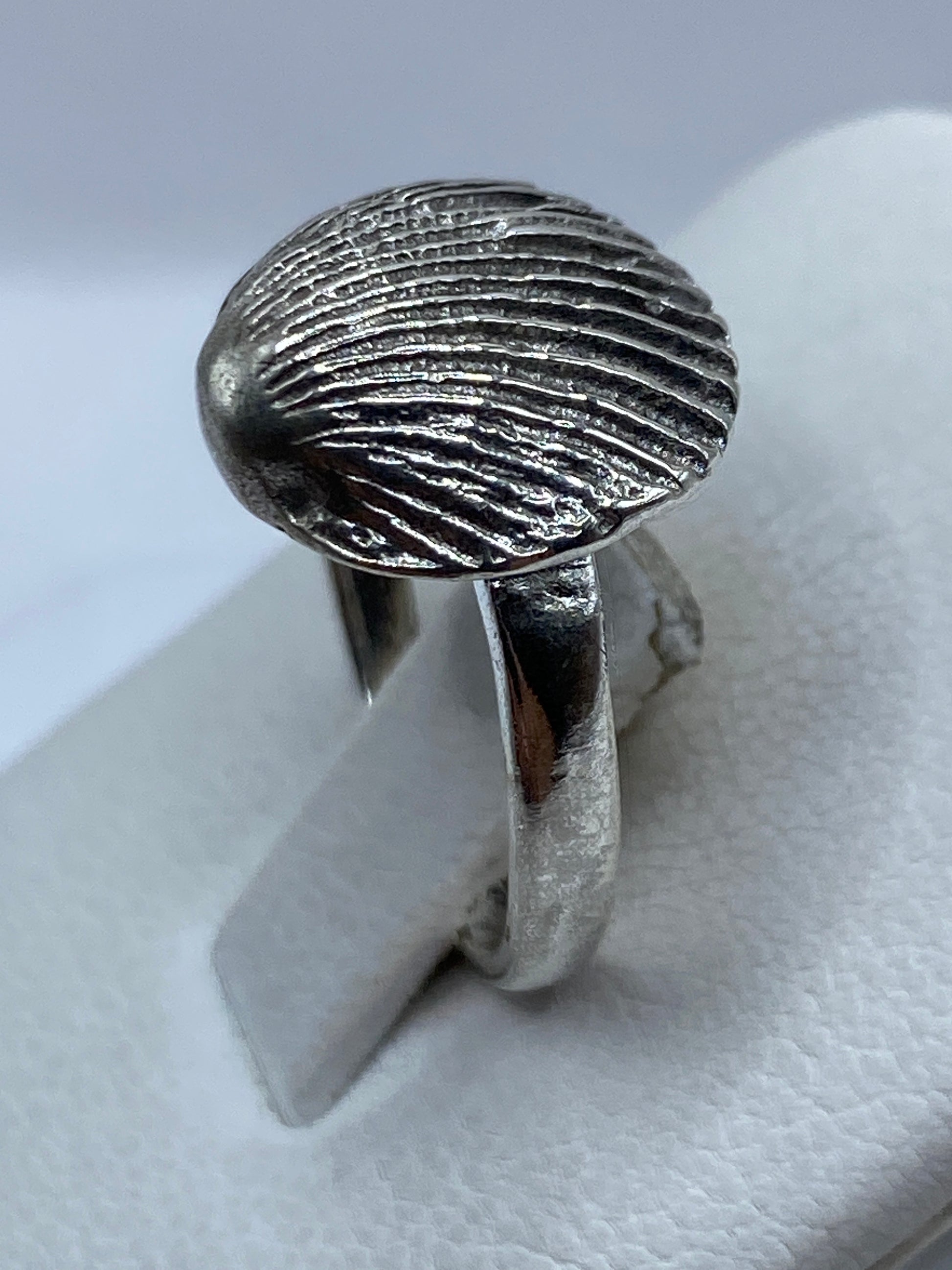 Anillo de concha marina en mano, demostrando el tamaño y brillo