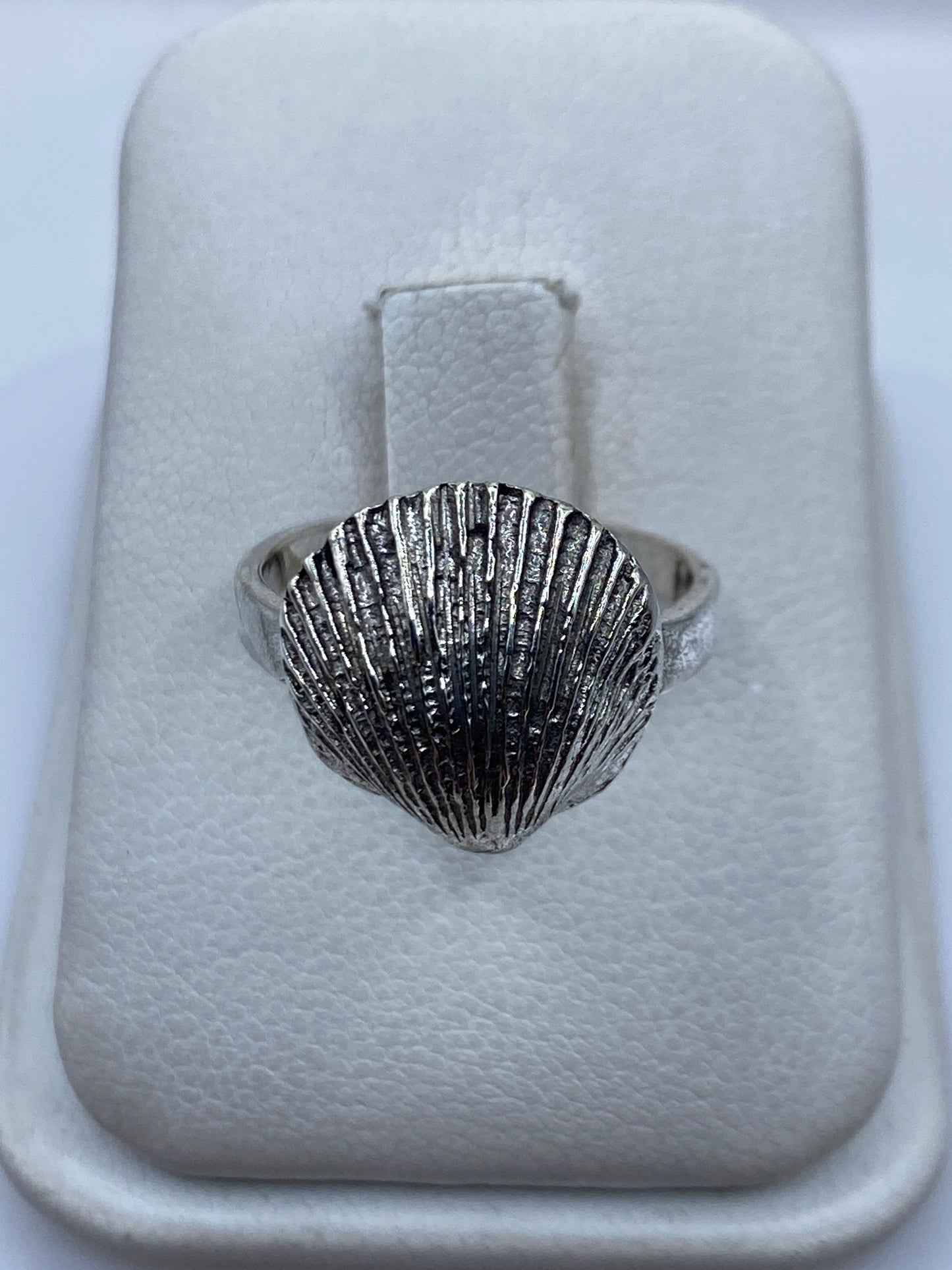 Anillo de plata .925 con diseño de concha en relieve sobre su estuche