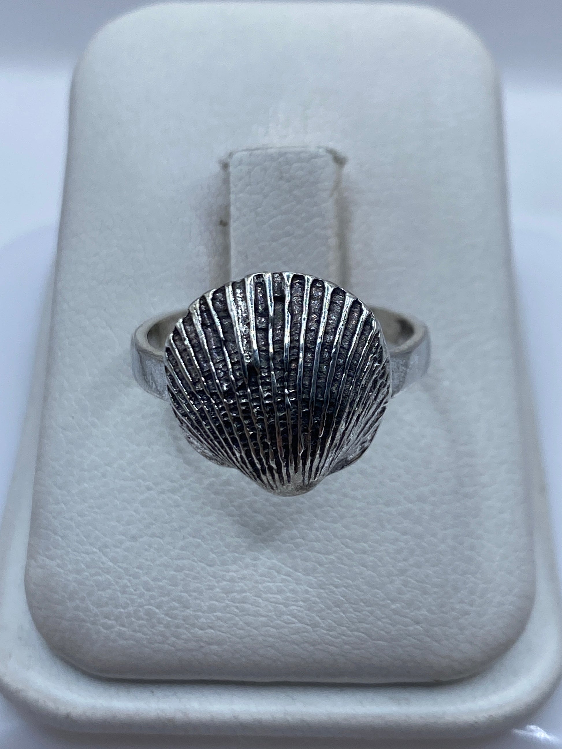 Anillo de plata .925 con diseño de concha marina en caja blanca