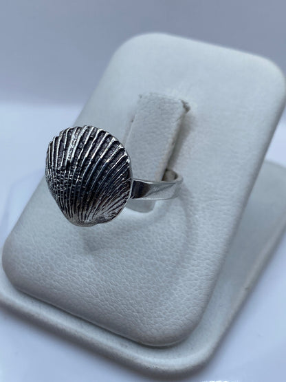 Detalle frontal del anillo de concha marina en plata pulida
