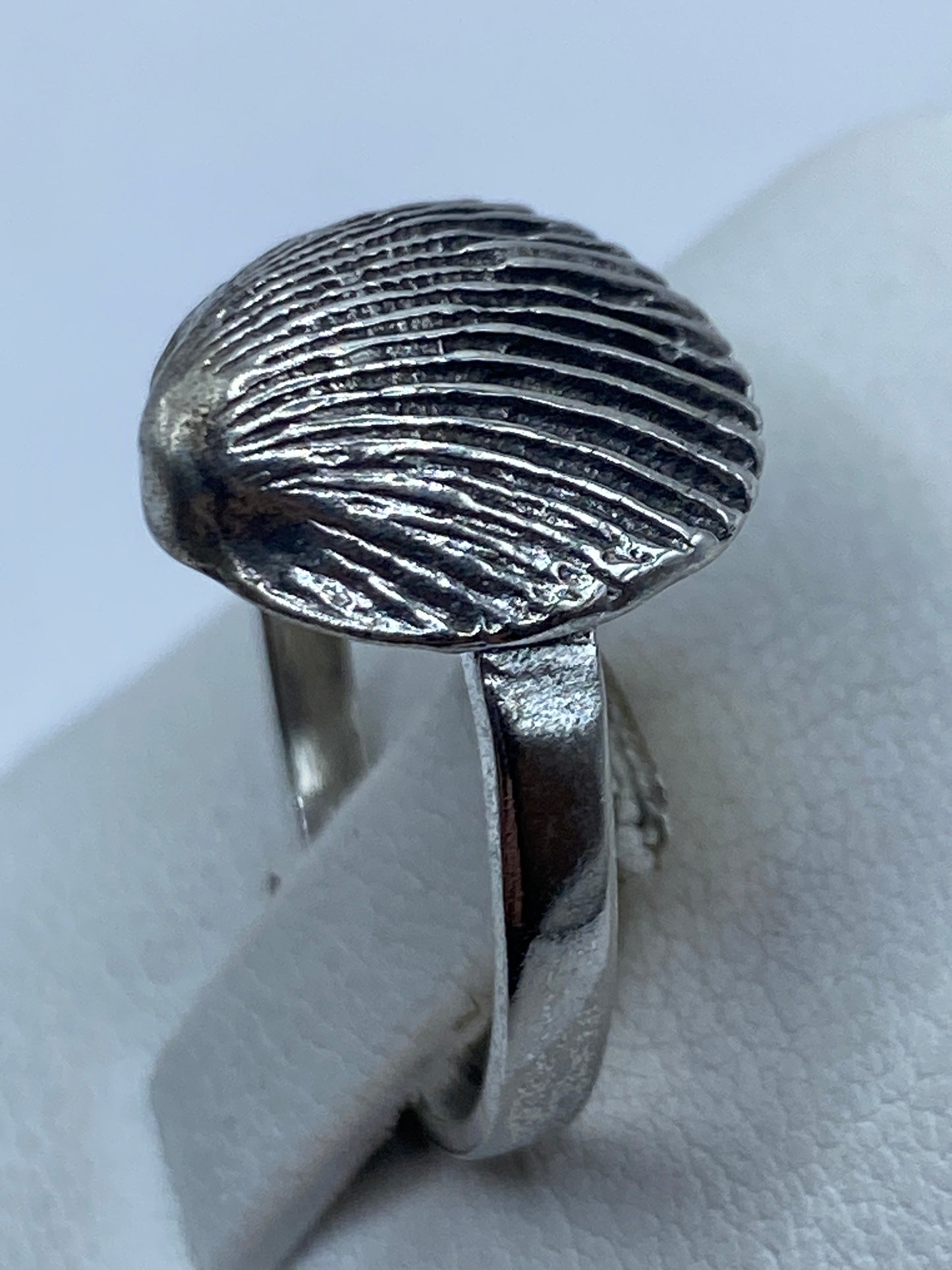 Anillo de concha marina visto desde el lateral, mostrando la fundición