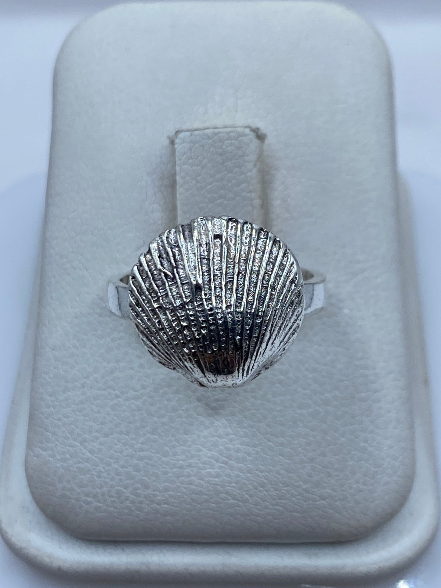 Anillo de plata .925 con diseño de concha marina en relieve sobre estuche blanco