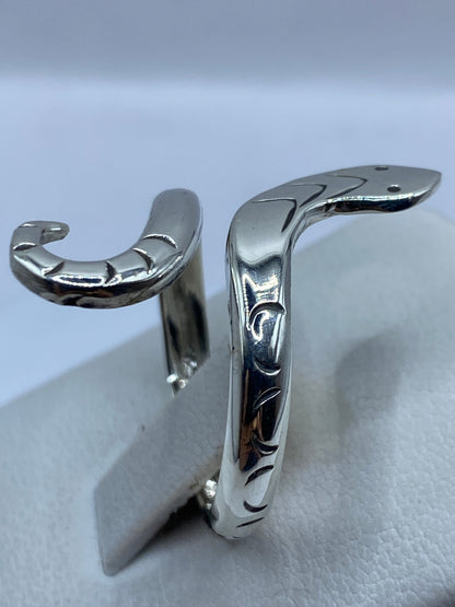 Detalle de los ojos y cuerpo de la serpiente en relieve