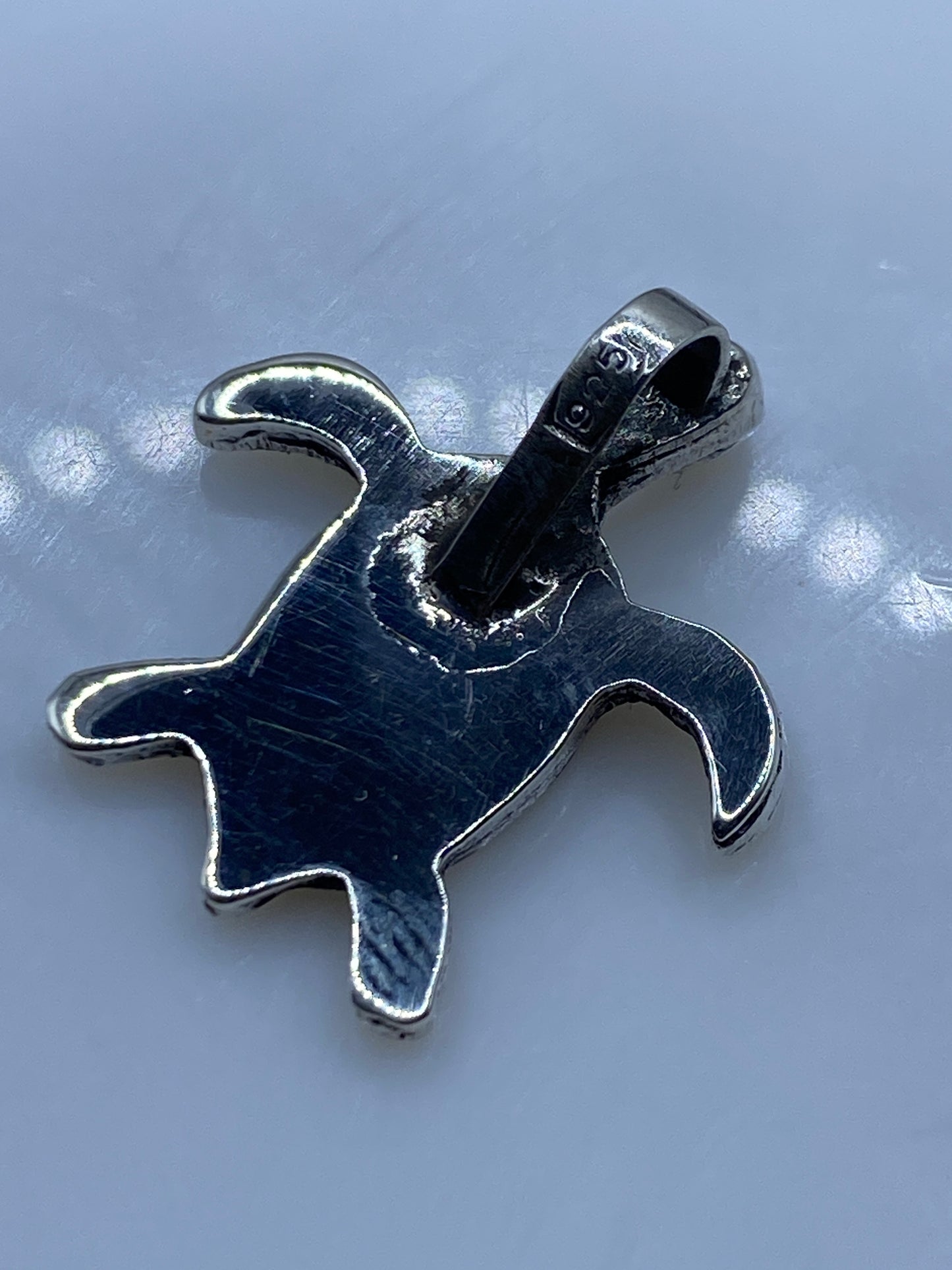 Dije tortuga sobre regla de centímetros mostrando su tamaño exacto de 3.2 cm