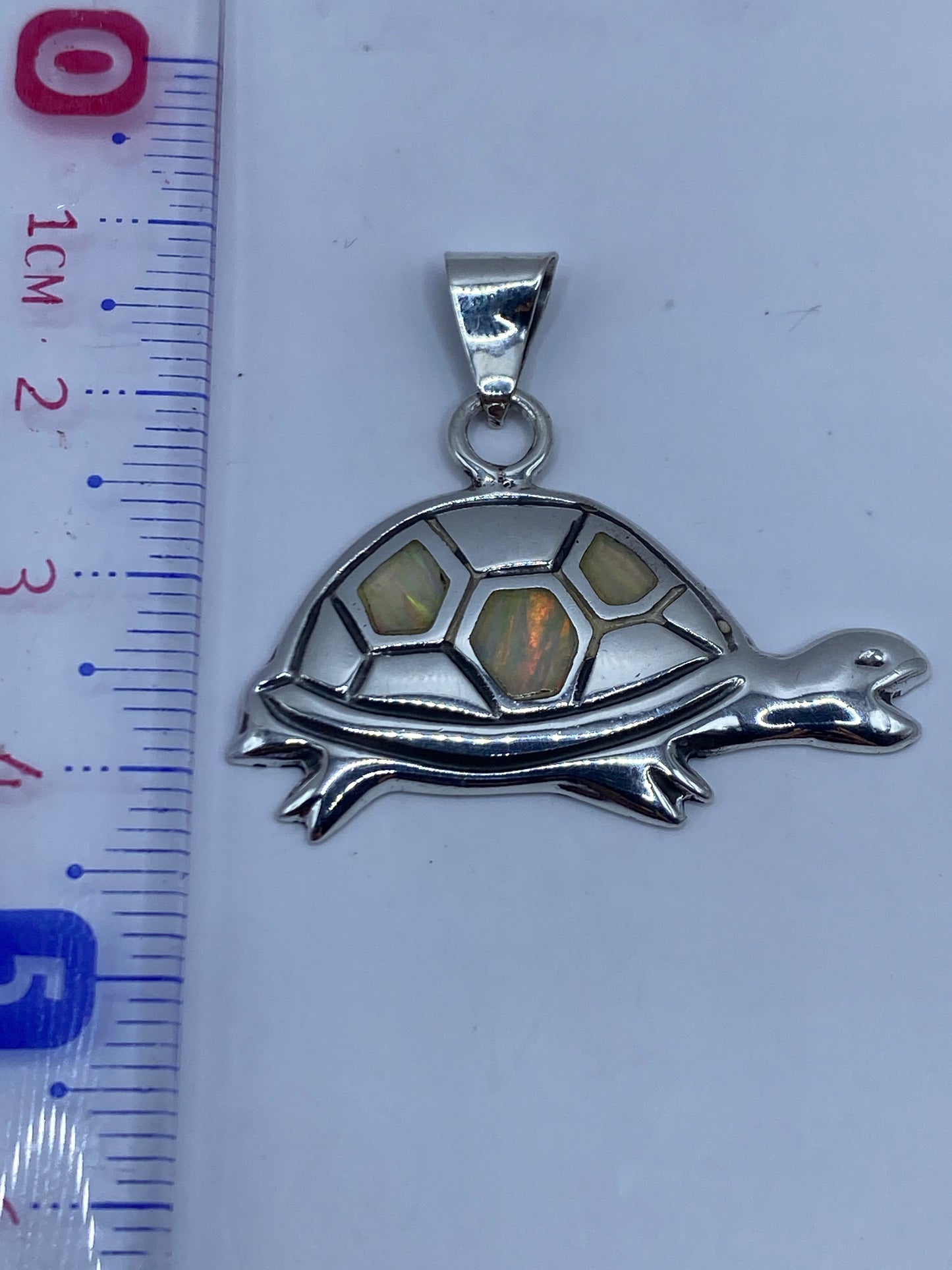 Dije de tortuga de 3.5 cm de largo sobre fondo blanco mostrando el acabado pulido