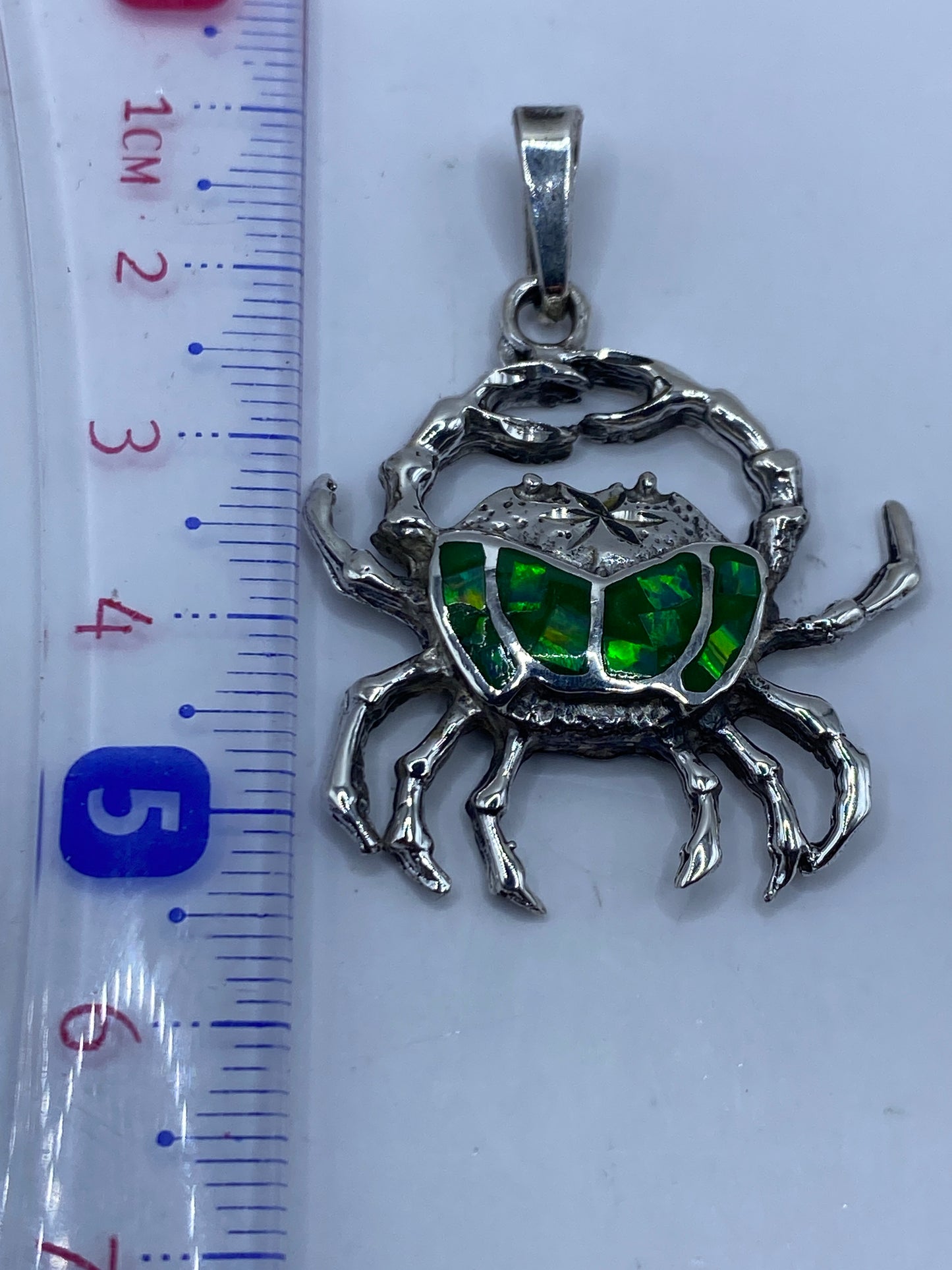Escarabajo de plata medido en escala, largo 5.3 cm, peso 7.9 gramos