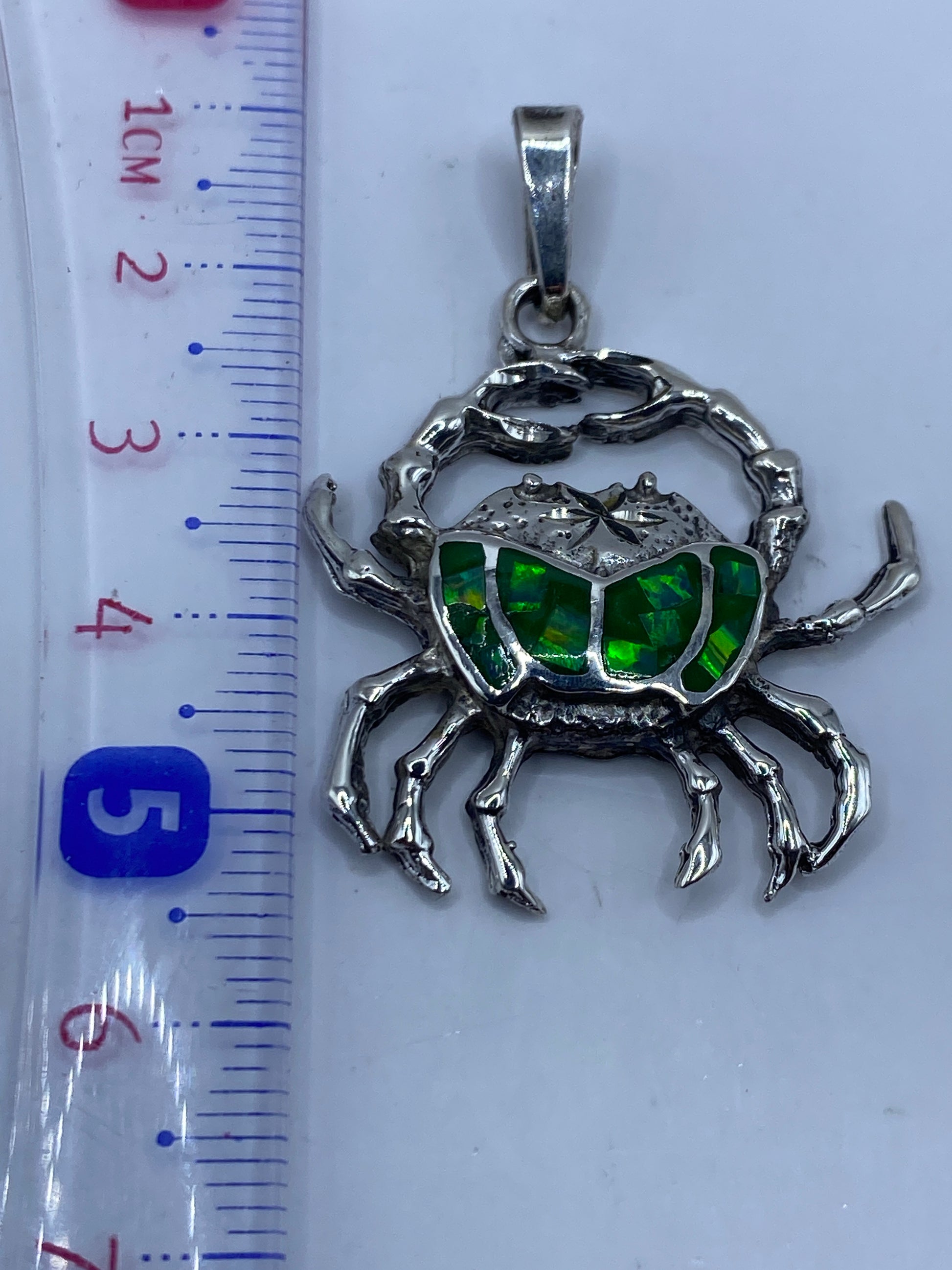Escarabajo de plata medido en escala, largo 5.3 cm, peso 7.9 gramos
