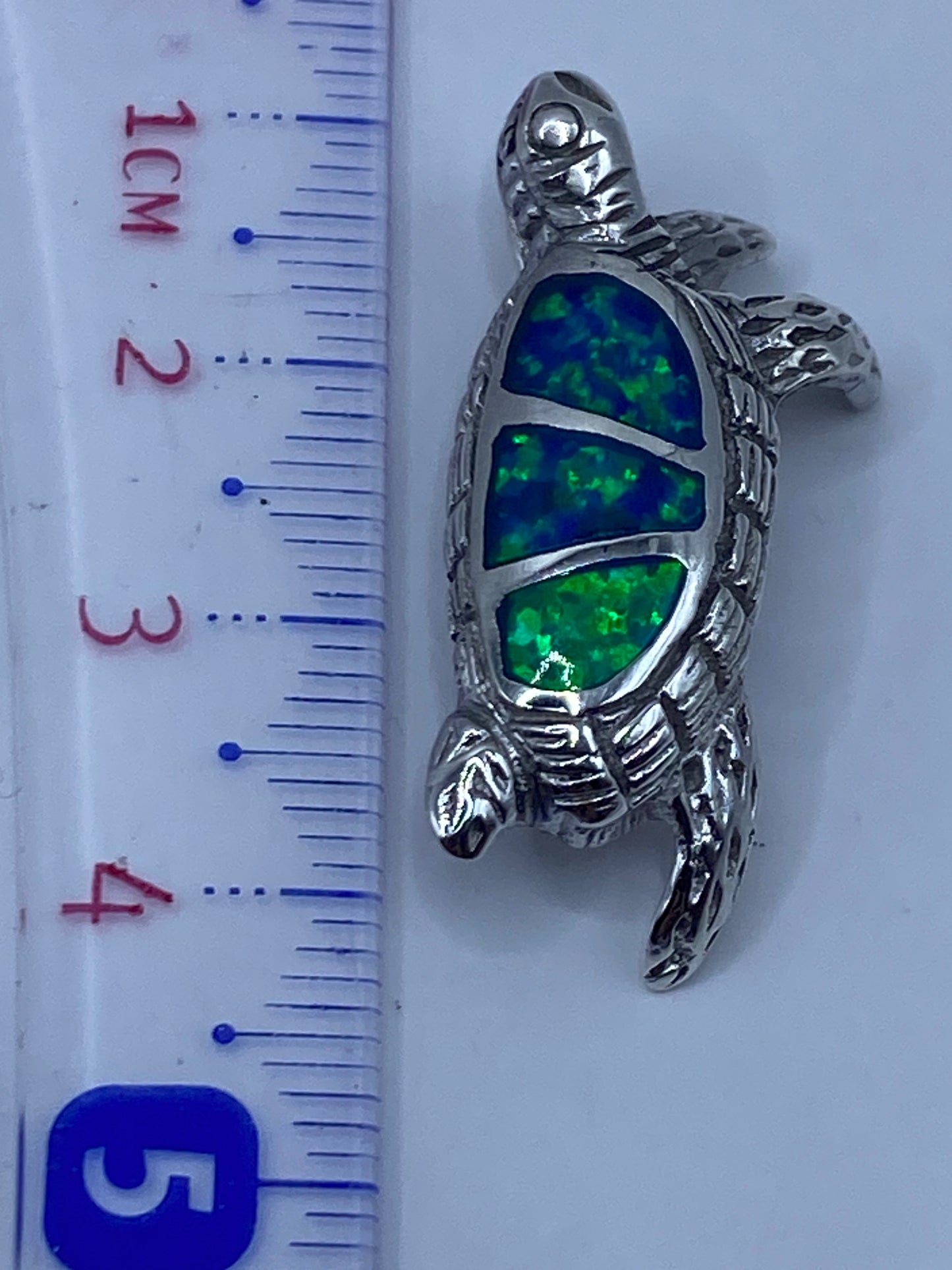 Dije tortuga sobre escala de peso, marcando 5.6 gramos