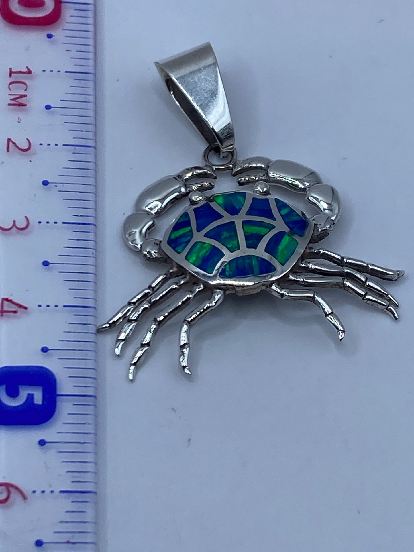 Dije cangrejo junto a regla métrica, midiendo 4.5 cm de largo