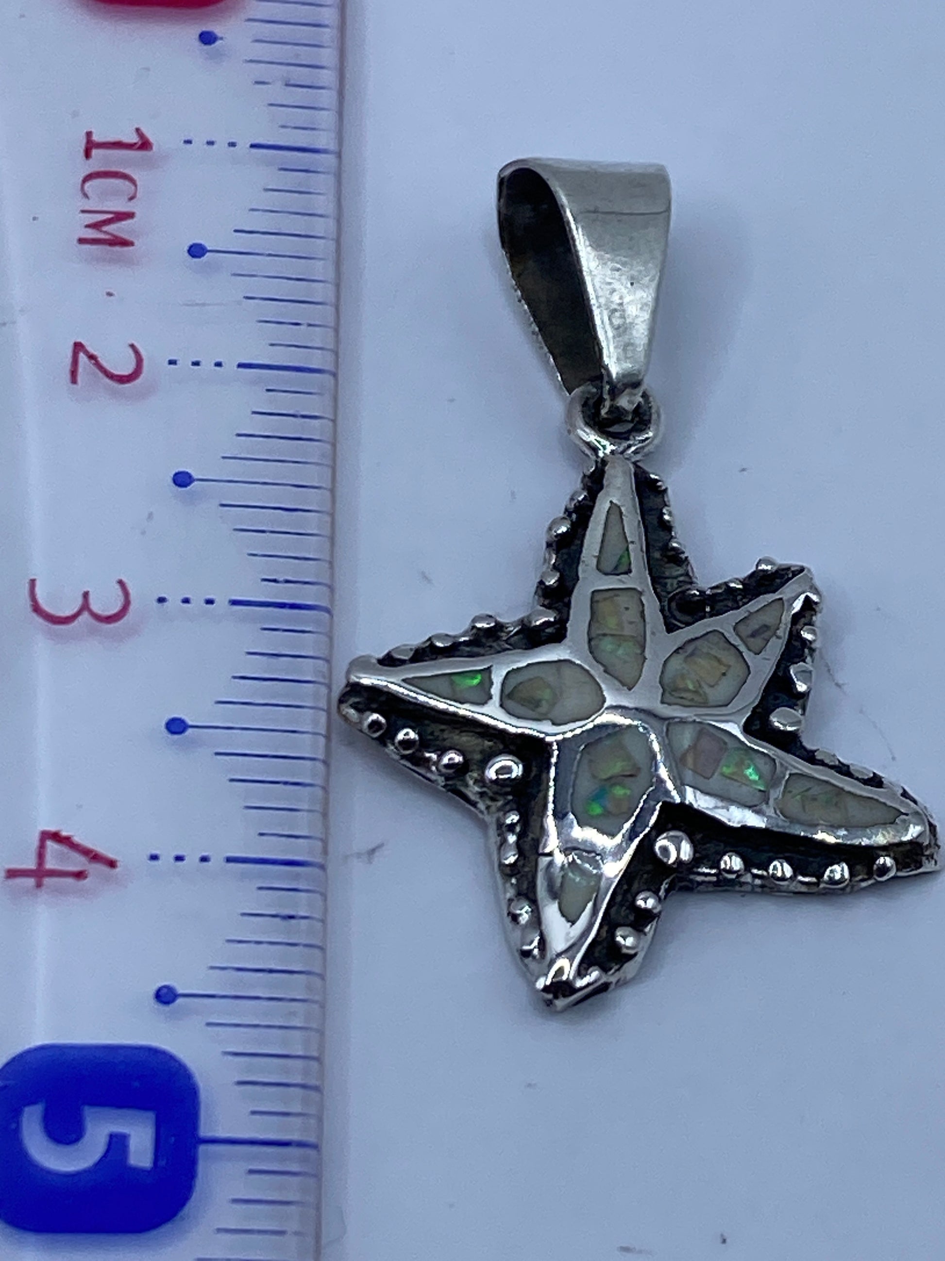 Reverso de la estrella marina mostrando acabado pulido y detalles oxidados de la plata .950