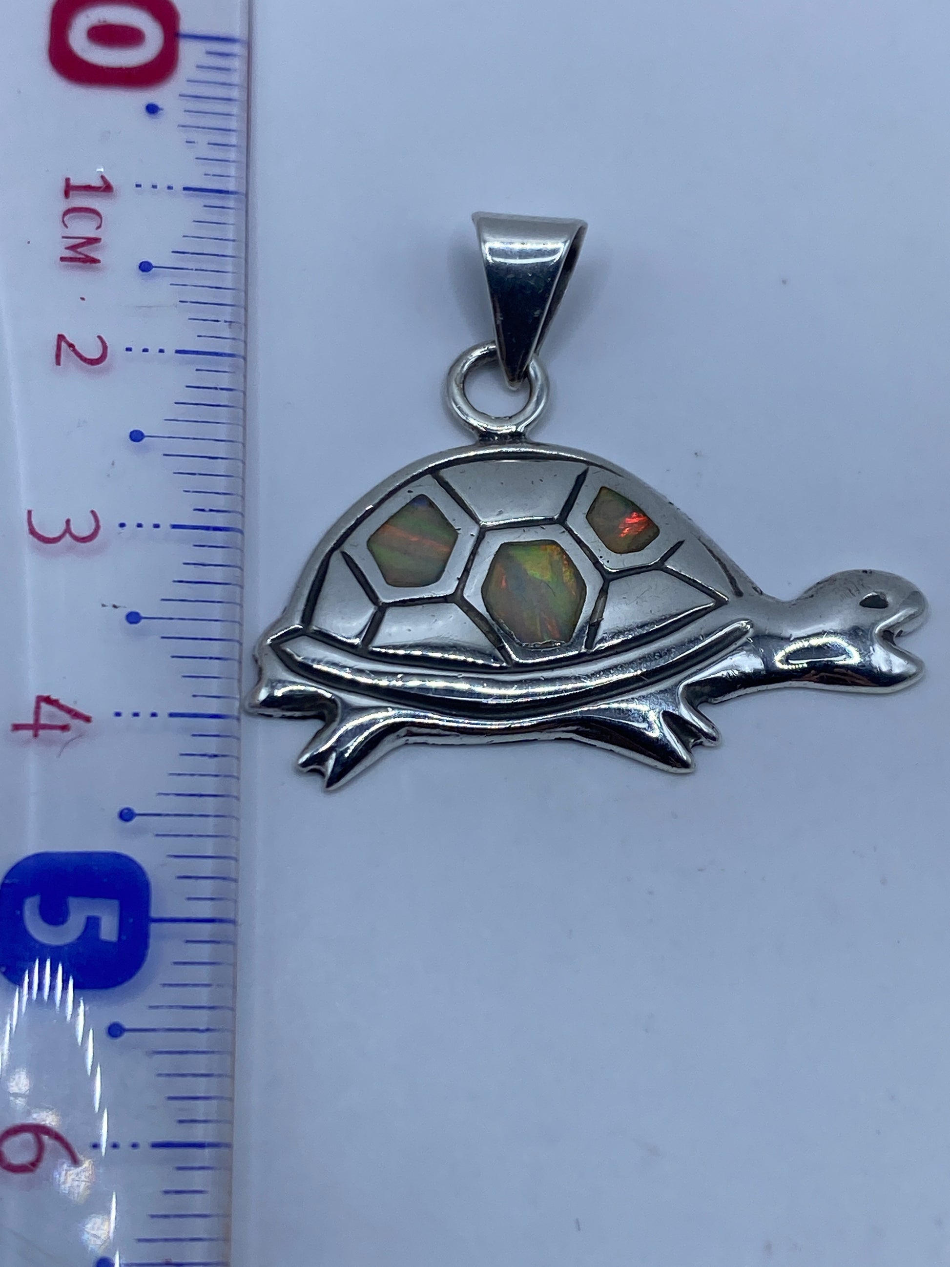 Reverso del dije tortuga de plata mostrando el Quinto .925