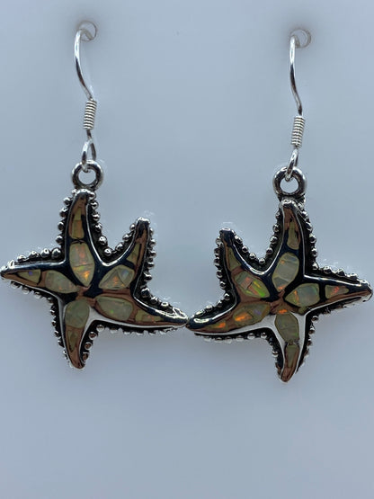 Aretes de ópalo colocados en caja de regalo azul con gancho de plata