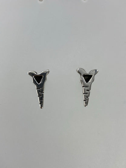 Vista frontal de los aretes de plata 925 con Quinto sellado