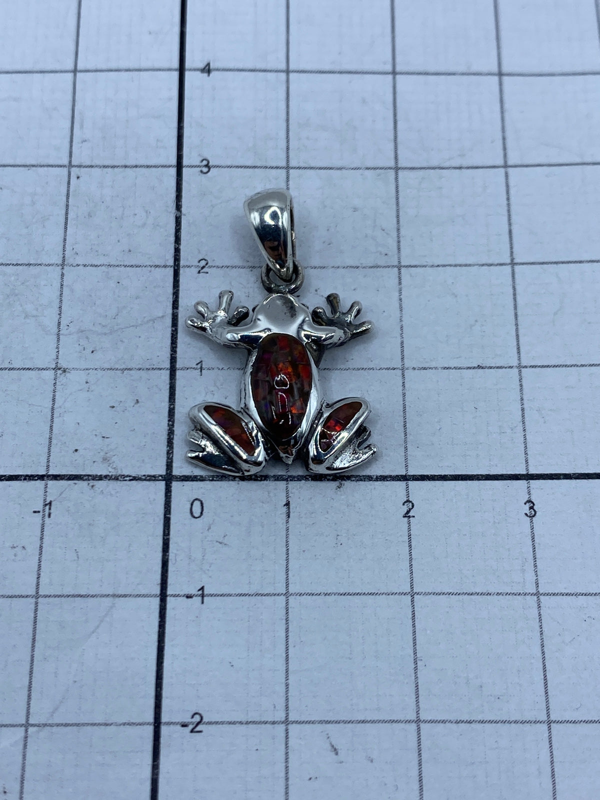 Rana de plata midiendo 2.6 cm de largo sobre regla de medición