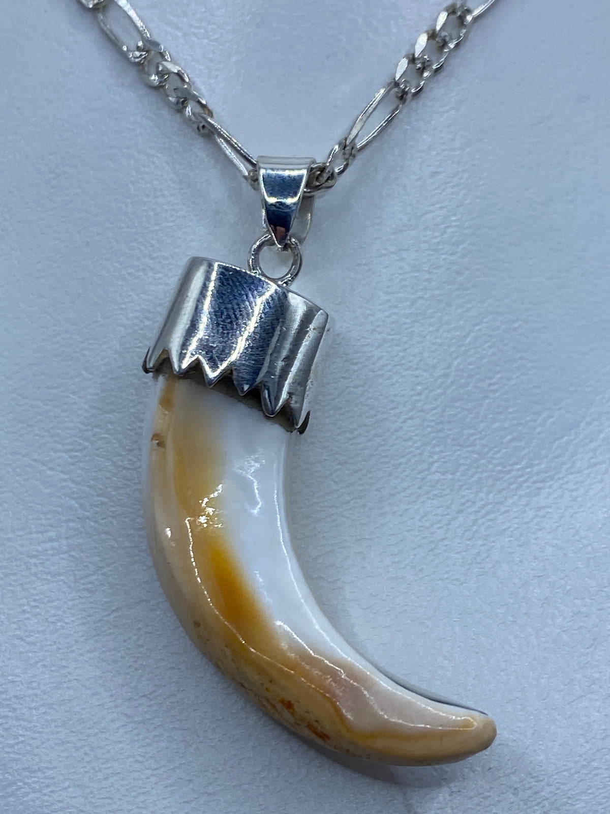 Dije de plata con colmillo natural de concha de caracol, engastado en plata 925 de Taxco