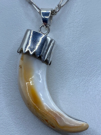 Detalle del engaste de plata alrededor de la concha natural