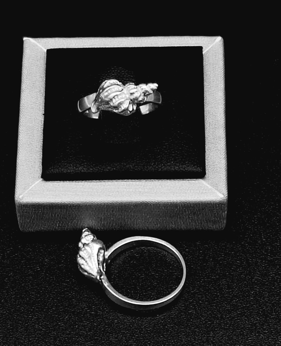 Anillo Caracol en Plata Ley 925 — vista frontal