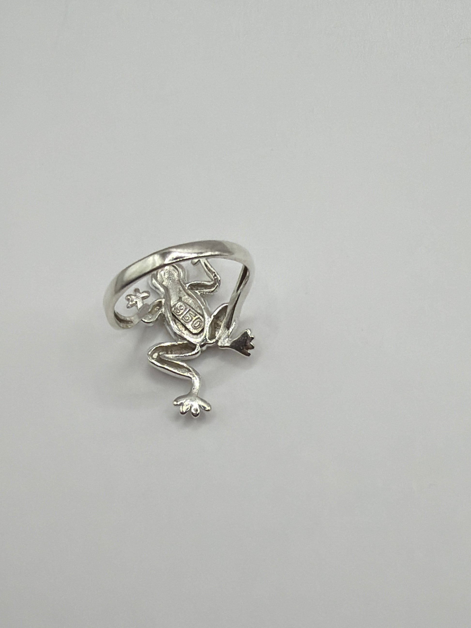 Anillo rana visto desde arriba mostrando la cabeza redondeada y cuerpo tridimensional