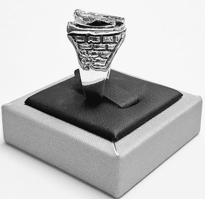 Anillo de Herradura en Plata Ley 925, vista frontal