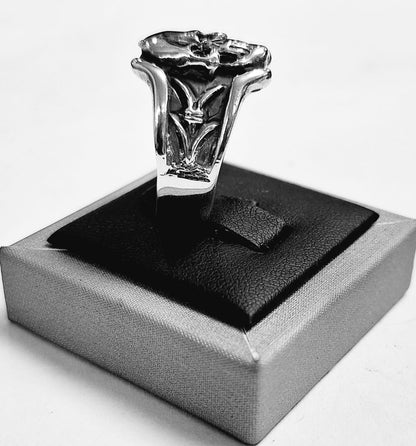 Anillo Calavera en Plata Ley 925, vista frontal