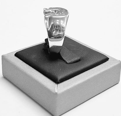 Anillo de Herradura en Plata Ley 925, vista frontal