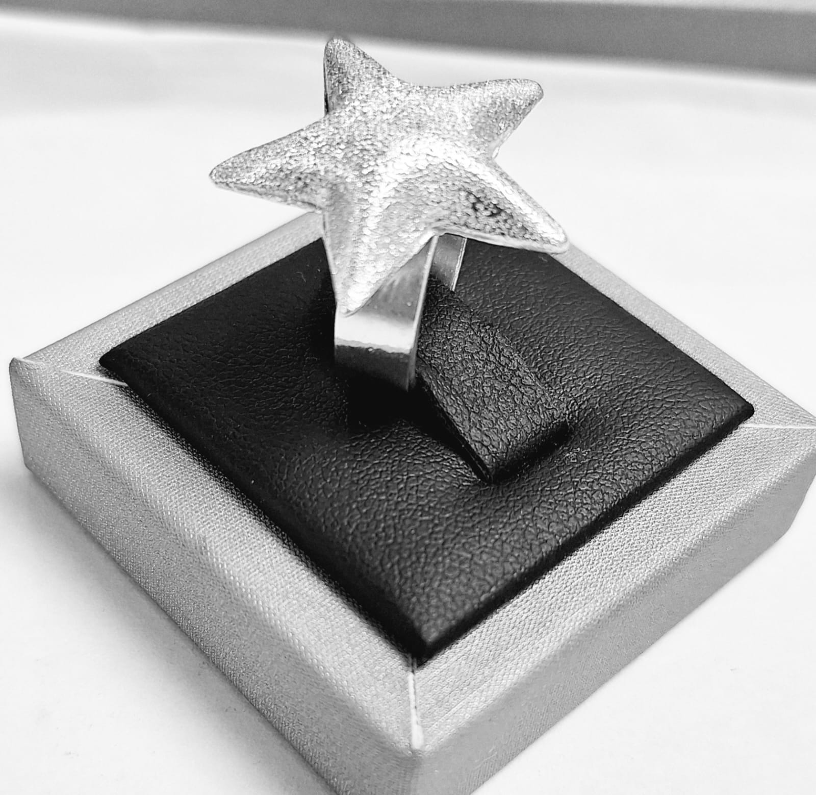 Anillo Diamantada Plata Ley 925, vista frontal