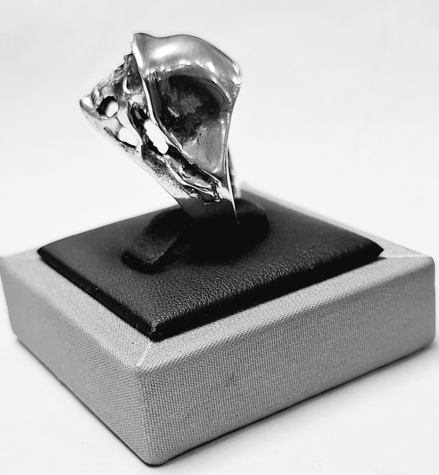 Anillo Calavera en Plata Ley 925, vista frontal